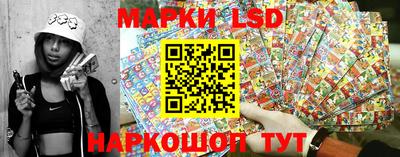 шишки Лесосибирск