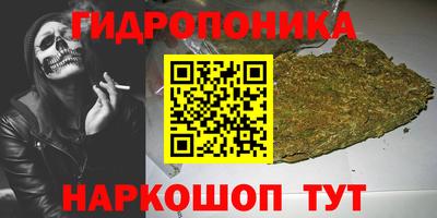 гашик Ливны