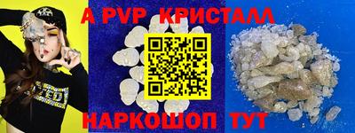шишки Лесосибирск