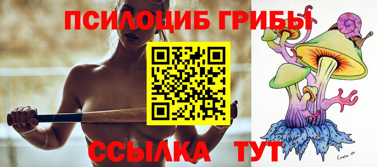 Псилоцибиновые грибы GOLDEN TEACHER  сколько стоит  Верхняя Салда  Галлюциногенные грибы мицелий  Вход с VPN 